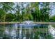 A tranquil pond featuring a central fountain, surrounded by lush greenery and mature trees at 131 Cricketgrass Dr, Cary, NC 27513