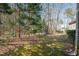 Backyard showing the grassy and wooded area at 2412 Mollynick Lane Ln, Wake Forest, NC 27587