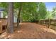 Spacious backyard featuring mature trees and a wooden fence, offering privacy and a natural setting at 3008 Isabella Dr, Raleigh, NC 27603
