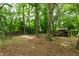 The backyard has plenty of trees at 3517 Morningside Dr, Raleigh, NC 27607