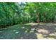 Forested backyard features lush greenery, creating a private and tranquil outdoor space at 382 Valley Ln, Pittsboro, NC 27312