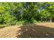 Backyard featuring a well-maintained lawn and a wooden fence perimeter at 50 Viajar Way, Smithfield, NC 27577