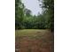 Image of a wooded lot of land with a partially cleared area, enveloped by beautiful trees at 210 Sorrel Dr, Franklinton, NC 27525