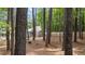 A private backyard setting with a wooded area, featuring a shed, fenced perimeter, and natural ground cover at 225 Sacred Fire Rd, Louisburg, NC 27549