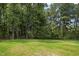 A large and spacious backyard featuring mature trees at 235 Eason Creek Way, Clayton, NC 27527
