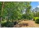 Expansive backyard enveloped in lush greenery, perfect for peaceful outdoor enjoyment at 313 Glen Echo Ln # J, Cary, NC 27518