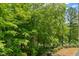 Yard view of lush green trees at 313 Glen Echo Ln # J, Cary, NC 27518