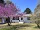 Charming home exterior featuring a blooming tree, brick facade, and inviting front entrance at 314 Wrenn St, Apex, NC 27502