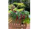 Wooden deck overlooking backyard with lush landscaping and flower boxes at 511 Windstream Way, Cary, NC 27518