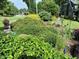 Beautiful front yard landscaping with manicured shrubs and decorative garden art at 582 Wimbleton Dr, Raleigh, NC 27609