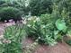 Beautiful garden filled with flowering plants and greenery, creating a colorful and inviting outdoor space at 582 Wimbleton Dr, Raleigh, NC 27609