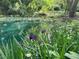 Picturesque pond with clear water and purple flowers in the foreground at 582 Wimbleton Dr, Raleigh, NC 27609