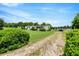 Exterior shot of the property, front yard, and long driveway at 70 Fieldside Dr, Louisburg, NC 27549