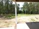 The backyard is a beautiful canvas, bordered by tall trees, waiting for new landscaping ideas to come to life at 802 Shade Tree Rd, Benson, NC 27504