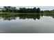 Picturesque pond reflecting the sky, surrounded by lush greenery and trees at 1024 Holland Bend Dr Dr, Cary, NC 27519