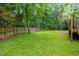 Fenced backyard featuring lush green grass, mature trees, and well-maintained landscaping at 104 S Crabtree Knl, Chapel Hill, NC 27514