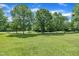 Beautiful backyard with mature trees and ample green space, perfect for Gathering fun and outdoor activities at 113 Feezor Ct, Clayton, NC 27527