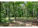 Beautiful backyard with mature trees and a peaceful, natural setting at 16 Tottenham Ln # 16, Chapel Hill, NC 27517