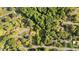 Aerial view of a neighborhood with lush greenery, showcasing the community's peaceful setting at 1641 Regency Dr, Burlington, NC 27215
