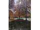Street view featuring vibrant fall foliage and mature trees on a sunny day, showcasing a peaceful neighborhood setting at 1702 Mcrae Pl, Hillsborough, NC 27278