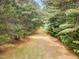 A sunny backyard featuring a spacious grassy area and lush trees, creating a peaceful and private retreat at 197 Country Routt Brown Rd, Pittsboro, NC 27312