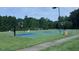 Well-maintained community basketball court surrounded by lush landscaping with multiple hoops at 344 Colonial Ridge Dr, Pittsboro, NC 27312