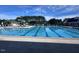 Beautifully maintained community pool with diving board and plenty of seating at 344 Colonial Ridge Dr, Pittsboro, NC 27312
