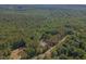 Wide aerial shot of house surrounded by lush woodland showing the peaceful setting at 5163 S River Rd, Lillington, NC 27546
