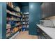 Walk-in pantry with generous shelving for organized food storage and countertop space at 105 Scotland Dr, Youngsville, NC 27596