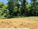 Lot ready for development, surrounded by mature trees and lush greenery, offering a private setting at 1087 Fairhaven Dr # 48, Mebane, NC 27302
