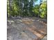 A cleared backyard with mature trees at 119 Comanche Dr, Louisburg, NC 27549