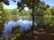 Scenic view of a pond surrounded by lush greenery and mature trees on a sunny day at 12 Crail Ct, Durham, NC 27712