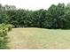 A sprawling, lush back yard with a soccer goal and a wooded backdrop at 123 Scheer Ave, Durham, NC 27703