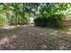 Lush backyard featuring a wooded area at 124 Cypress View Way, Apex, NC 27502