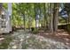 Shaded backyard with towering trees, offering a glimpse of the deck and rear of the home at 203 Halls Mill Dr, Cary, NC 27519