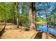 Scenic walking trail beside a tranquil pond with a wooden bench, perfect for relaxing and enjoying nature at 203 Halls Mill Dr, Cary, NC 27519