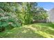 Private backyard bordered by beautiful trees and natural wooded privacy at 4009 Patriot Ridge Ct, Raleigh, NC 27610