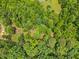 Lush tree canopy seen from above, creating a vibrant green landscape with few buildings visible at 115 Jensen Dr, Wendell, NC 27591