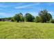 Sprawling backyard with green grass and mature trees, perfect for outdoor activities at 2085 Enon Rd, Oxford, NC 27565