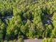 Stunning aerial view showcasing a lush treed property featuring a private pool at 540 Vista Del Lago Ln, Wake Forest, NC 27587