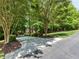Long driveway leading to a brick home, surrounded by mature trees and well-maintained landscaping at 540 Vista Del Lago Ln, Wake Forest, NC 27587