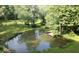 Scenic pond surrounded by lush greenery and mature trees, creating a serene and natural outdoor space at 6971 Shady Creek Trl, Rougemont, NC 27572
