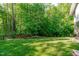 Well-maintained backyard featuring a lush lawn and mature trees for privacy at 9021 Albatross Ct, Raleigh, NC 27613