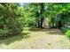 Lush backyard with mature trees partially obscuring the house, creating a private oasis at 903 Nicholas St, Henderson, NC 27536