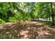 Expansive backyard offering a serene atmosphere with mature trees providing ample shade at 903 Nicholas St, Henderson, NC 27536