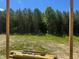 A beautiful backyard with lush greenery and mature trees at 163 Batten Hill Ln, Selma, NC 27576