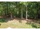 Backyard with mature trees at 166 Greenmont Ln, Cary, NC 27511
