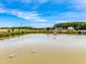 Scenic pond view with decorative ducks floating on the water, set against a bright sky at 3187 Wilsons Mills Rd, Smithfield, NC 27577