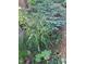 Garden with lush greenery and purple flowers, creating a tranquil and inviting outdoor space at 411 Brampton Close, Pittsboro, NC 27312