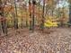 Lush woods with fallen leaves create a peaceful and natural setting at 4459 Poppy Mallow Ln, Oxford, NC 27565